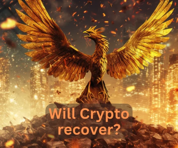 a_phoenix_rising_from_a_pile_will_crypto_recover