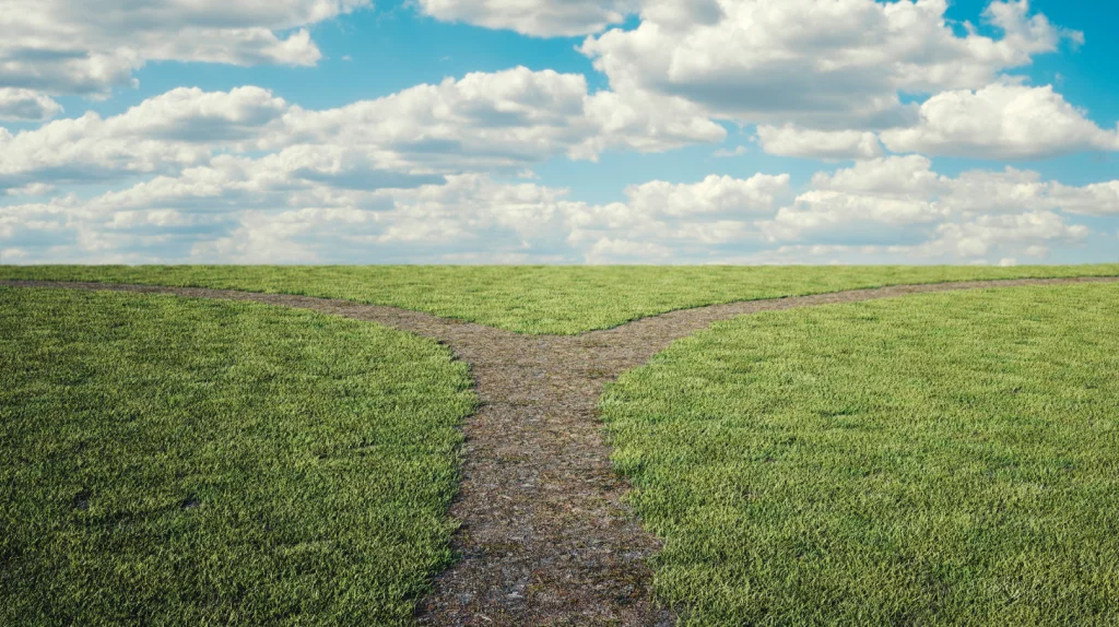 How to be an Expert in Cryptocurrency 4 grass_and_way_splitting_up_Career-Pathways