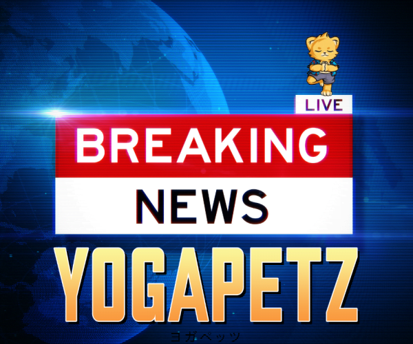 breaking_news_yogapetz